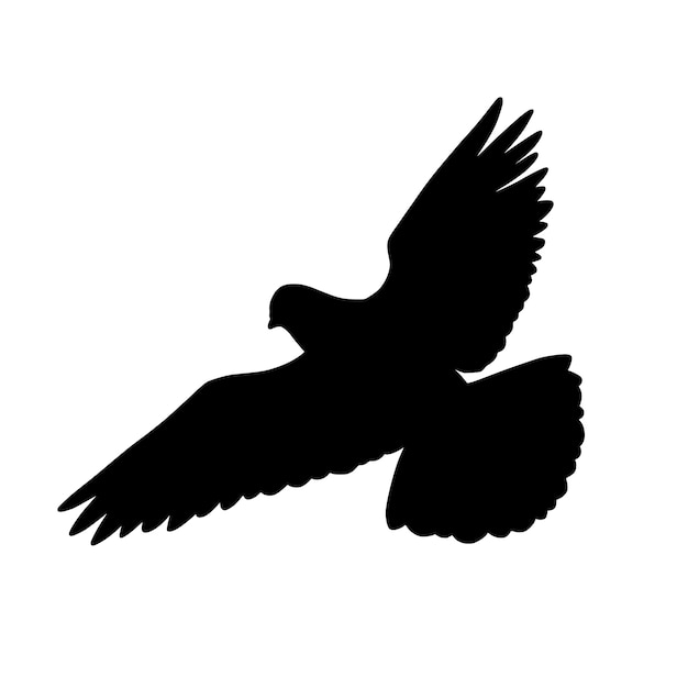 Bird silhouette illustration