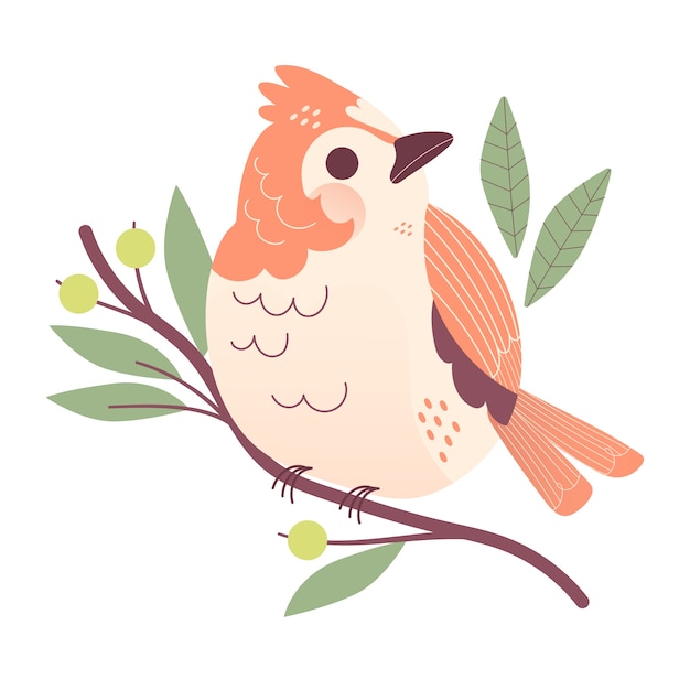 Free PSD cute bird on branch