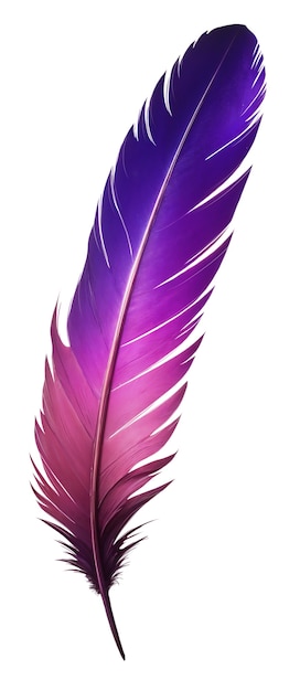 Free PSD delicate feather isolated