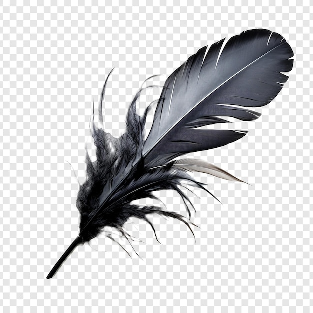 Free PSD feathers adorn a fashionable isolated on transparent background