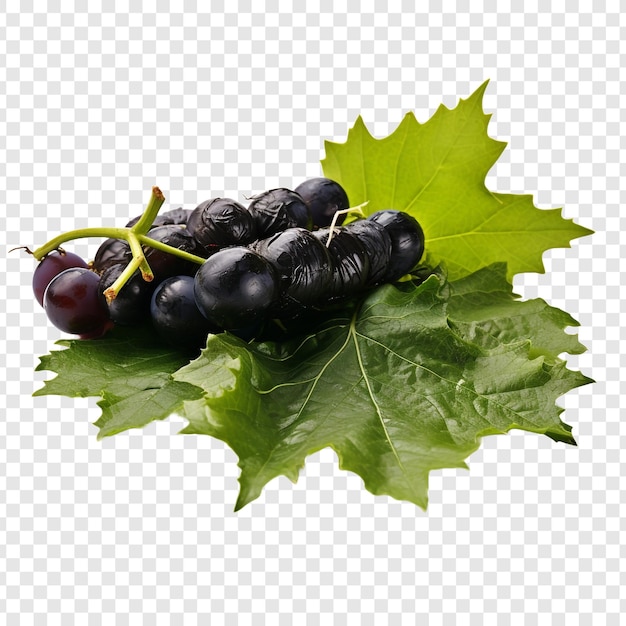 Free PSD grape leaves isolated on transparent background