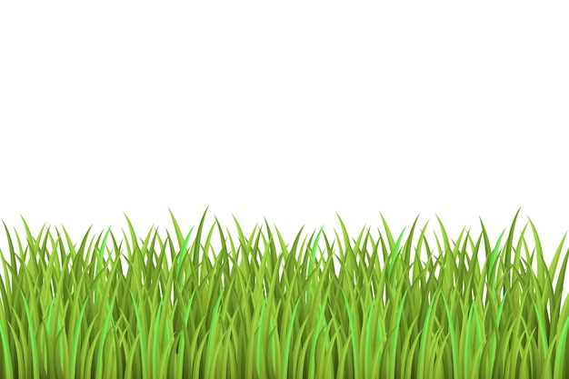 Free PSD grass border isolated