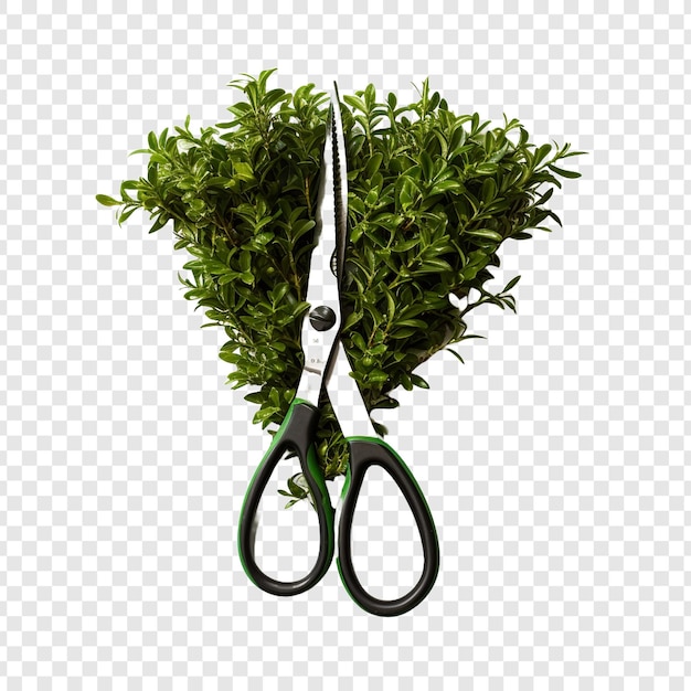 Free PSD hedge shears flower isolated on transparent background