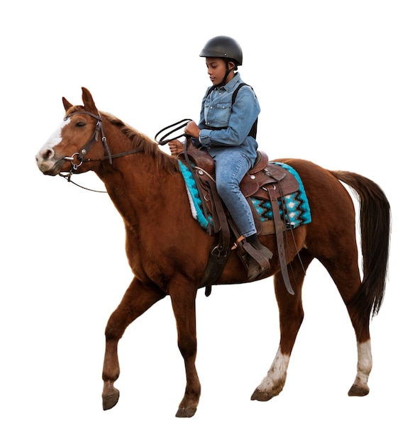 Free PSD horse ready for equestrianism isolated