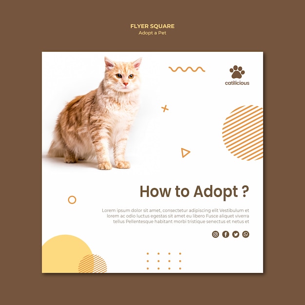 Pet adoption square flyer template style