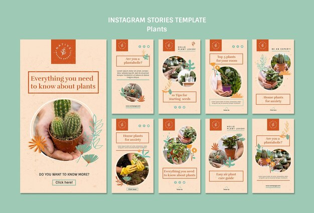 Plants instagram stories template