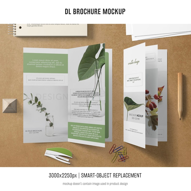 Free PSD portrait dl brochure mockup