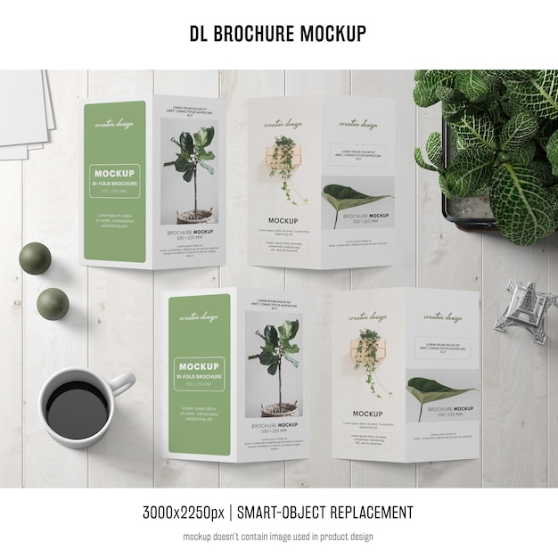 Free PSD portrait dl brochure mockup