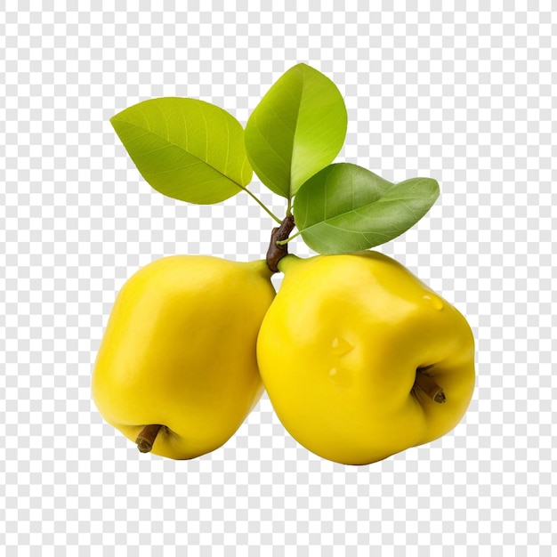 Free PSD quince fruit isolated on transparent background
