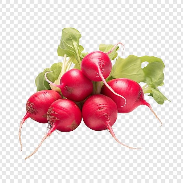 Free PSD radishes isolated on transparent background