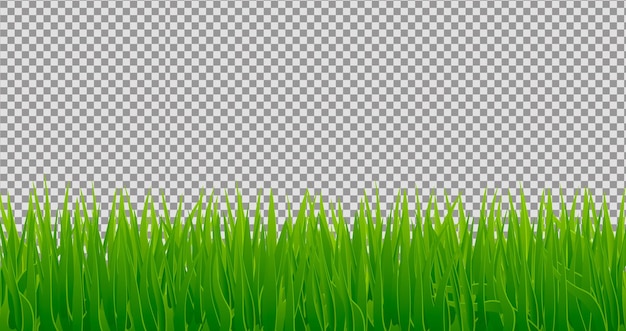 Free PSD realistic grass background with gradients on transparent background