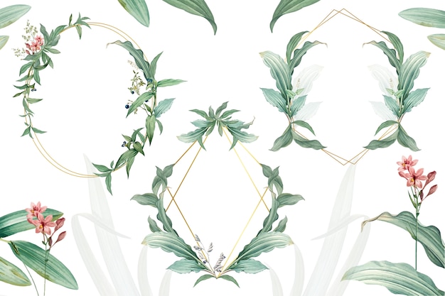 Free PSD set of empty frames with green leaves design