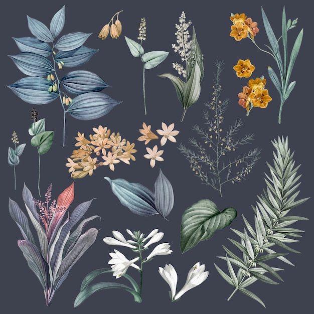 Free PSD set of flowers and plant illustrations