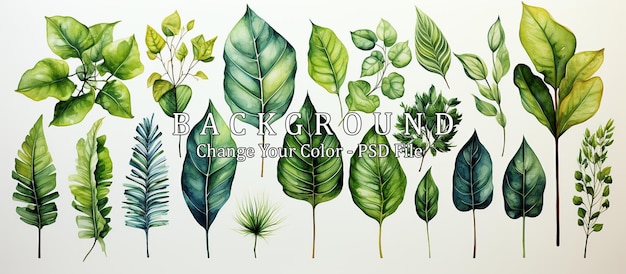 Free PSD set of watercolor tropical leaves