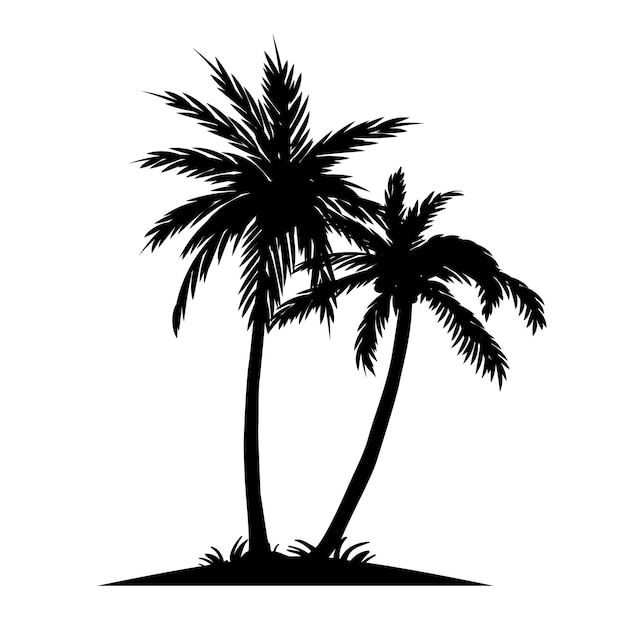 Silhouettes palm tree illustration