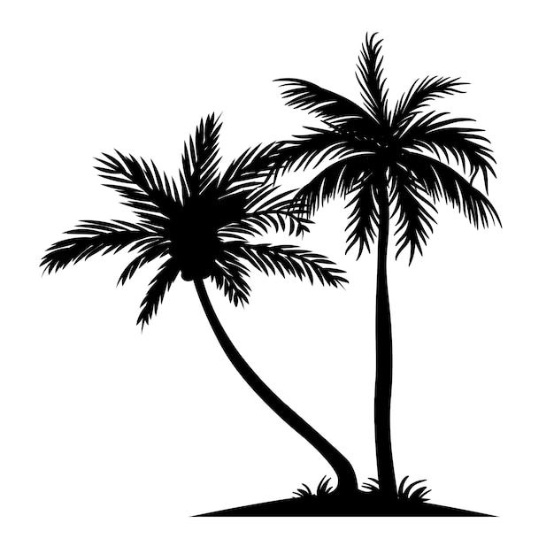 Silhouettes palm tree illustration