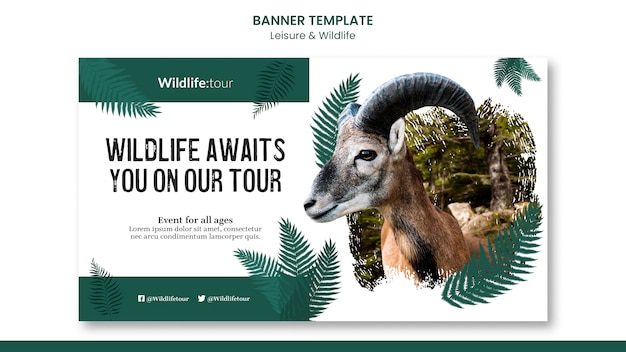 Free PSD wildlife tour banner template