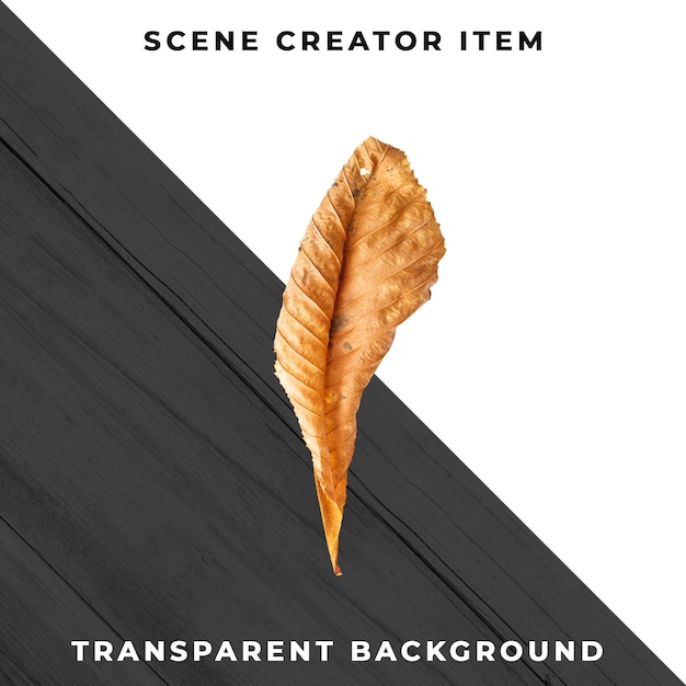 Free PSD wood leaf transparent psd