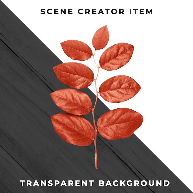 Wood leaf transparent psd