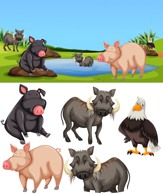 Free Vector animals in pond scene