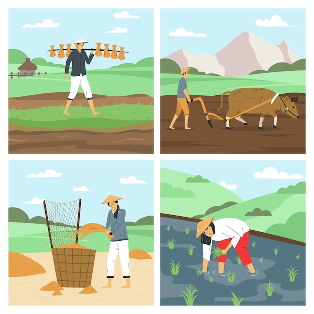 Free vector asian farmers flat 2x2 set with men and women working on fields harvesting rice ploughing with bull isolated vector illustration