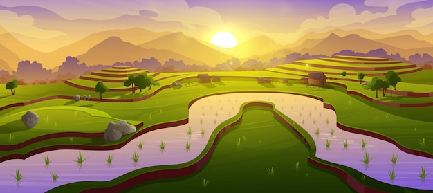 Free vector asian rice field terraces at morning mountains landscape paddy plantation cascades farm in mount and water channel with growing plants scenery meadow with green grass cartoon vector illustration