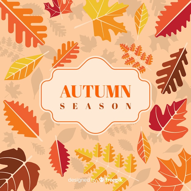 Free vector autumn background with different leaves