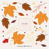 Free vector autumn background with different leaves