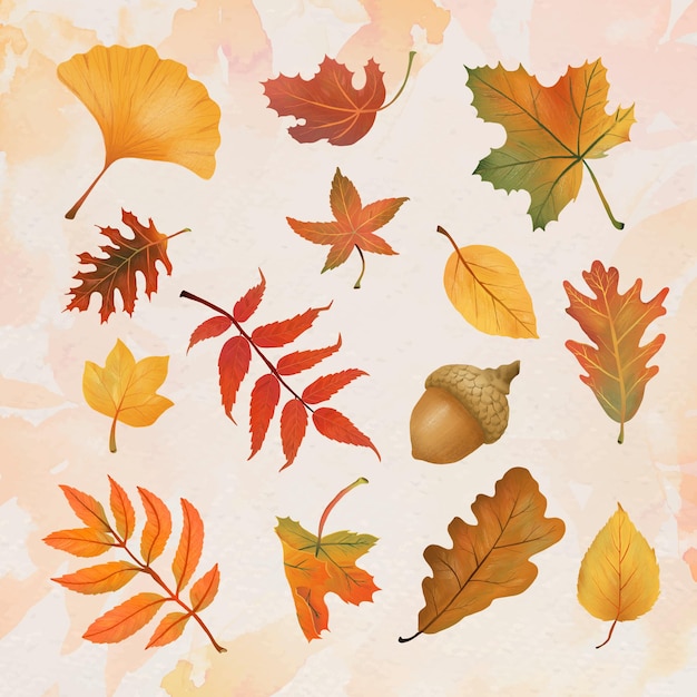 Free vector autumn leaf element vector set in hand drawn style