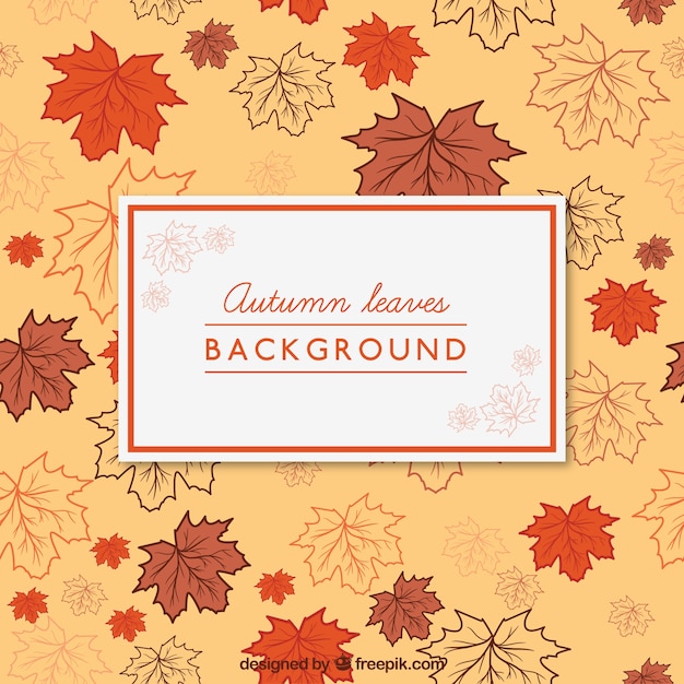 Free Vector autumn leaves background