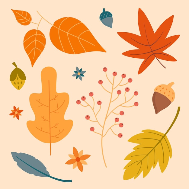 Free vector autumn leaves collection