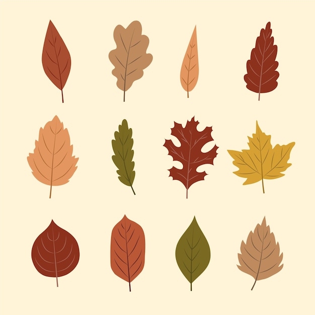 Free vector autumn leaves collection