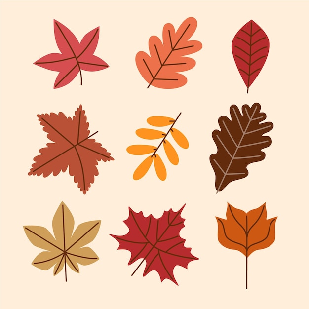 Free Vector autumn leaves collection