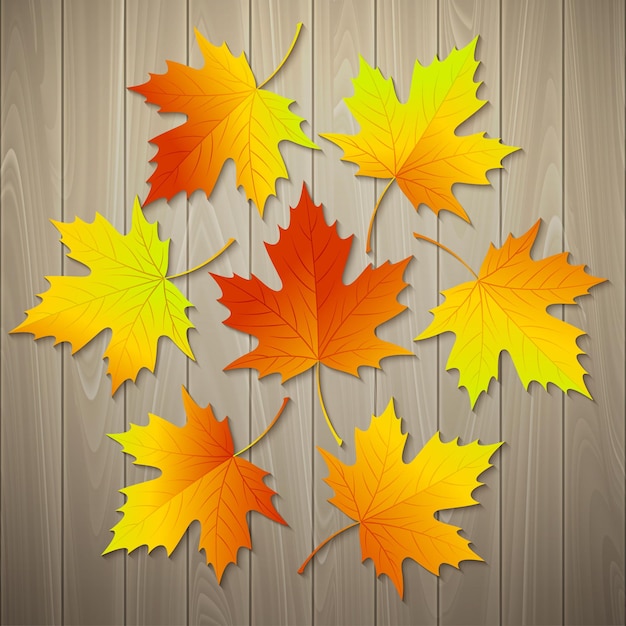 Free Vector autumn leaves on wood texture