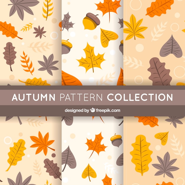 Autumn pattern collection in modern style