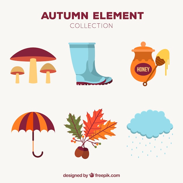 Free Vector autumnal elements with modern style