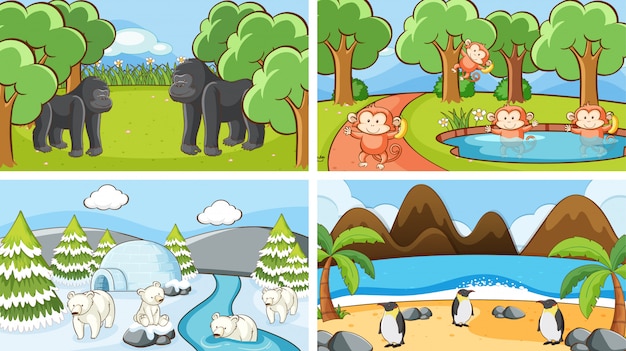 Free Vector background scenes of animals in the wild