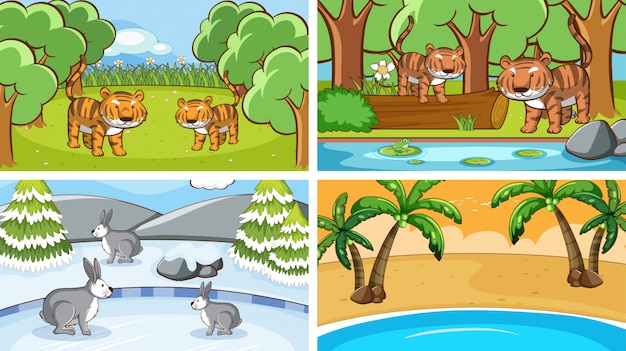 Background scenes of animals in the wild