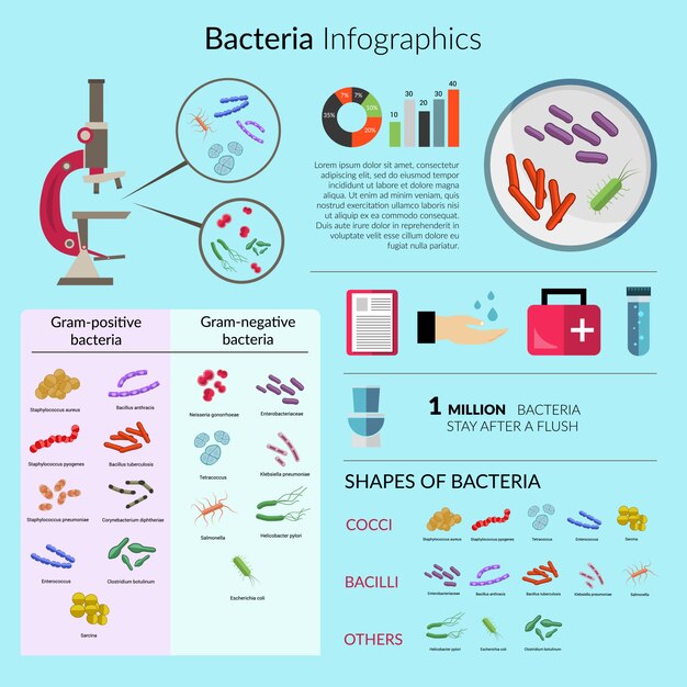 Bacteria Infographic template Set