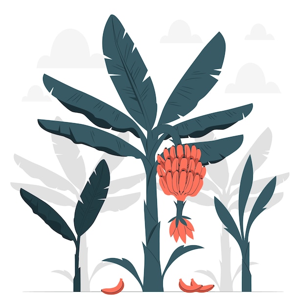 Free Vector banana tree concept illustration