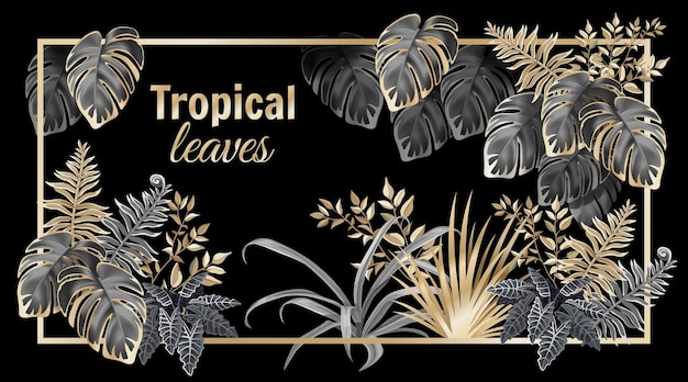 Banner with dark leaves palms and lianas.