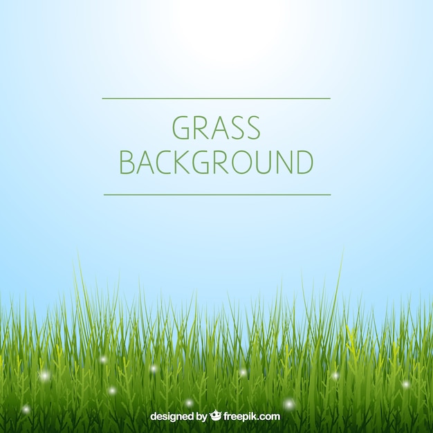 Free vector beautiful background with green grass and shiny shapes