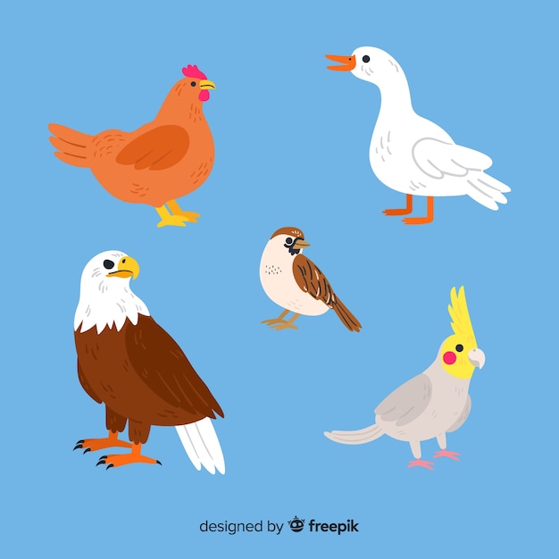 Free Vector beautiful hand drawn bird collection