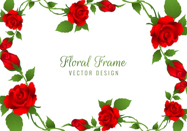 Free Vector beautiful red rose flower frame background