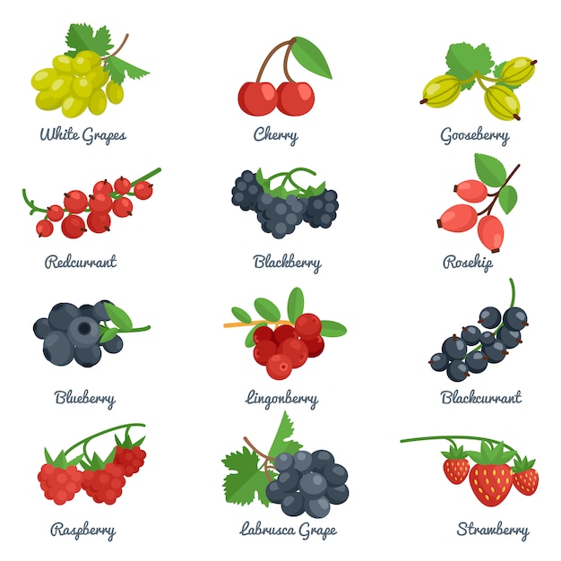 Free Vector berries flat icons set