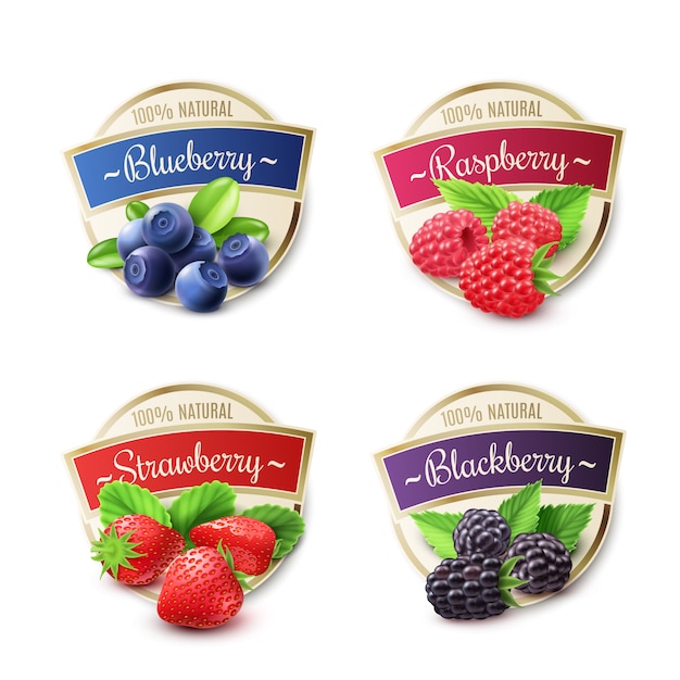 Free Vector berry labels set