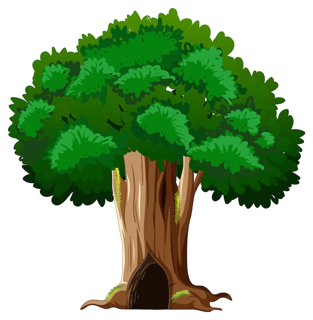 Free Vector big tree isolated cartoon