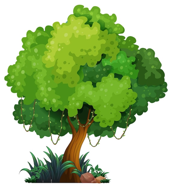 Free vector big tree isolated cartoon