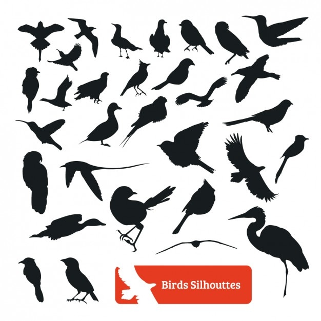 Free vector bird silhouette collection