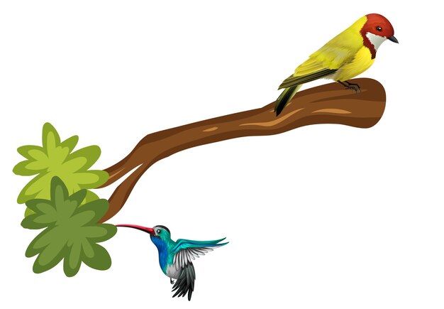 A bird standing on branch in cartoon style